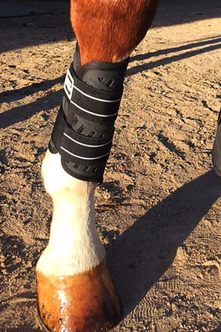 Majyk Equipe Dressage/Sport Boots
