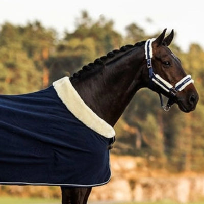 Equestrian Stockholm Fur lined Halter and Lead Navy