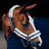 Equestrian Stockholm Fur lined Halter and Lead Navy