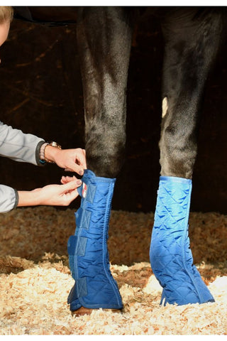 Equilibrium Equi Chaps Padded Stable Wraps PAIR