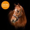 Equilibrium Stellar Weatherproof Breakaway Safety Halter OLD STYLE