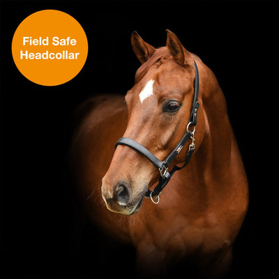 Equilibrium Stellar Weatherproof Breakaway Safety Halter OLD STYLE