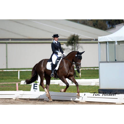 Lotus Romeo Classic Tailcoat with Crystal Buttons-NO RETURN