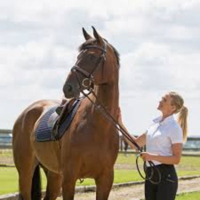 Horze Venice Snaffle Bridle with Reins