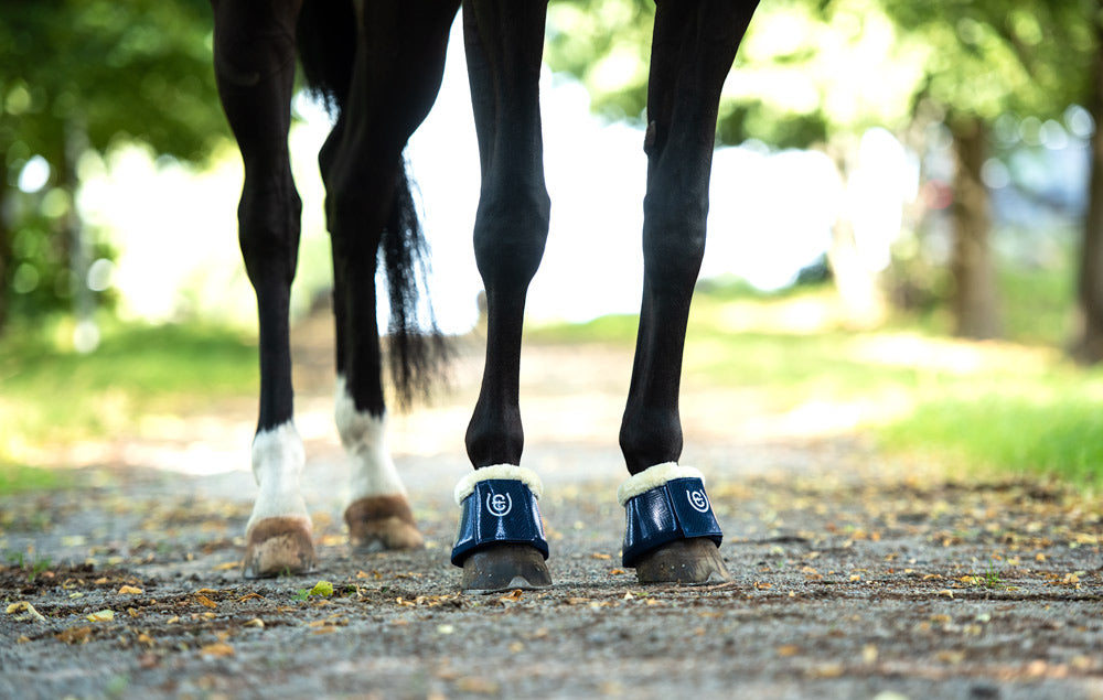 Horze bell boots sales