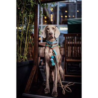 Dog with a Mission Binck Rope Lead with Pom Pom Trim