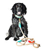 Dog with a Mission Binck Rope Lead with Pom Pom Trim