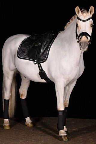 Equestrian Stockholm Dressage Saddle Pad Black Edition COB