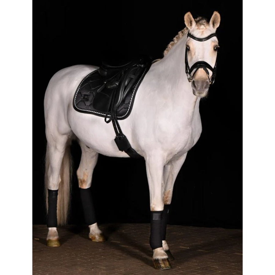 Equestrian Stockholm Dressage Saddle Pad Black Edition COB