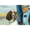 Dog with a Mission Boho Juan Dog Lead with Colourful Tassel