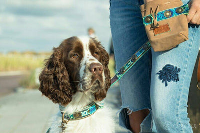 Dog with a Mission Boho Juan Fringed Dog Collar BLUE