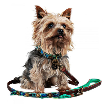 Dog with a Mission Boho Juan Dog Lead with Colourful Tassel