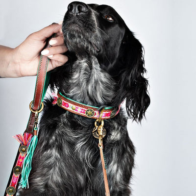 Dog with a Mission Boho Rosa Dog Lead with Colourful Tassel