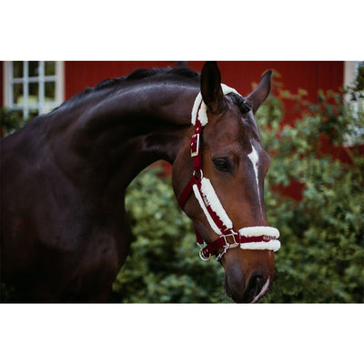 Equestrian Stockholm Fur lined Halter and Lead Bordeaux
