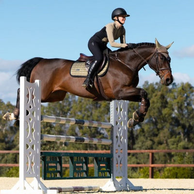 Equestrian Stockholm Sportive Chantelle All Purpose/Jump Saddle Pad