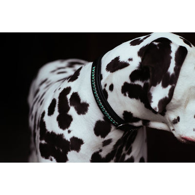 Equestrian Stockholm Crystal Dog Collar DEEP OLIVINE