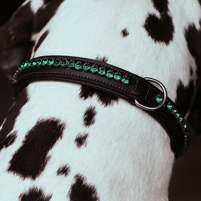 Equestrian Stockholm Crystal Dog Collar DEEP OLIVINE