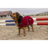 Equi Theme Diego and Louna Teddy Fleece Dog Rug with Fur Collar