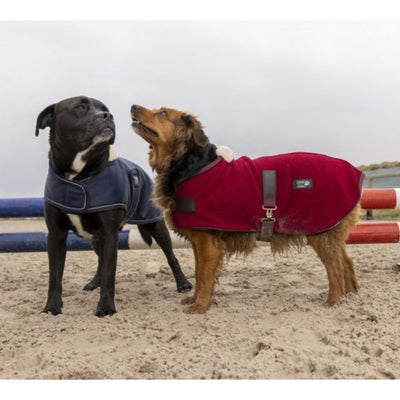 Equi Theme Diego and Louna Teddy Fleece Dog Rug with Fur Collar