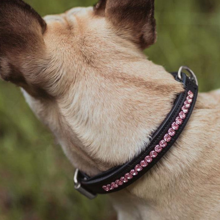Equestrian Stockholm Crystal Dog Collar ALL IN PINK