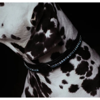 Equestrian Stockholm Leather Dog Collar with Parisian Blue Crystals