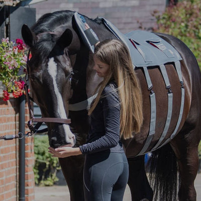 Equilibrium Horse Back Massage Pad