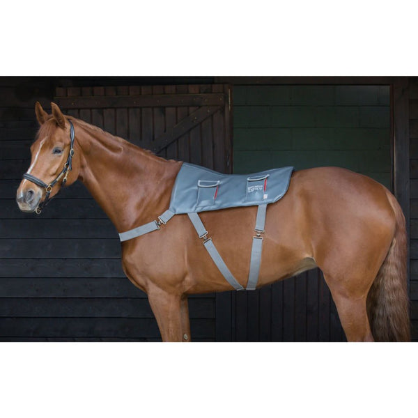 Equilibrium Horse Back Massage Pad - Horse in the Box