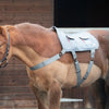 Equilibrium Horse Back Massage Pad