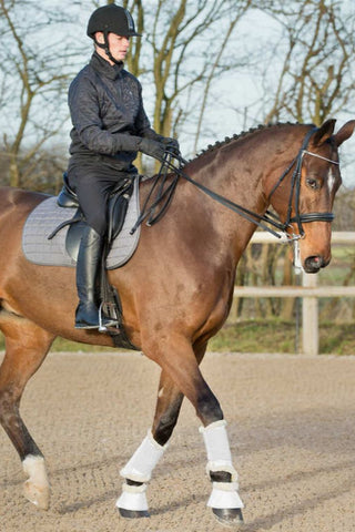 Horze Signature Brushing Boots with Fleece