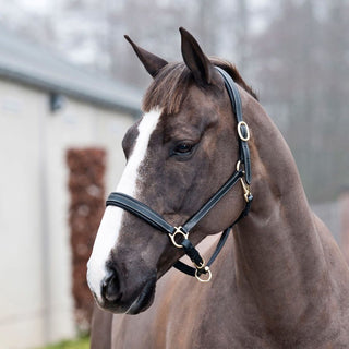 Halter Horze Largo Leather