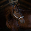Equestrian Stockholm Halter and Lead Set Luminous Black