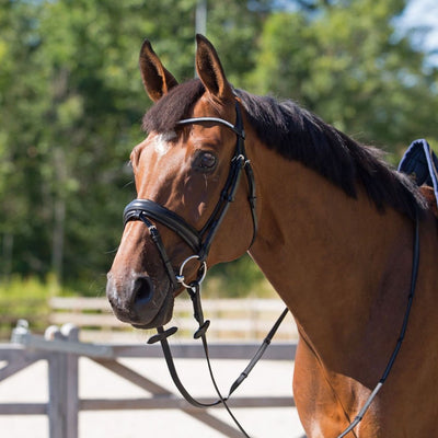 Horze Lester Bridle with Rein