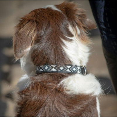 Penelope Pearl Leather Dog Collar