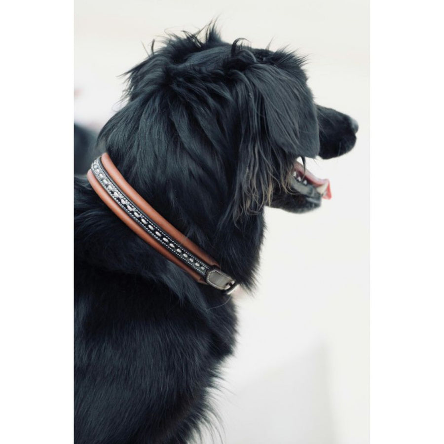 Penelope Point Sellier Dog Collar