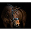 PS Of Sweden GP Rolled Leather Bridle