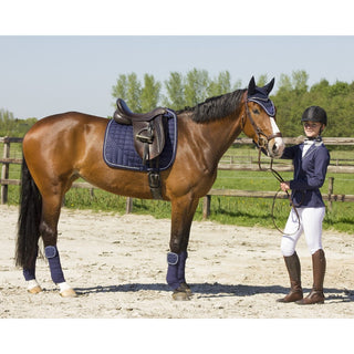 QHP Sparkle Tie-Down Bonnet