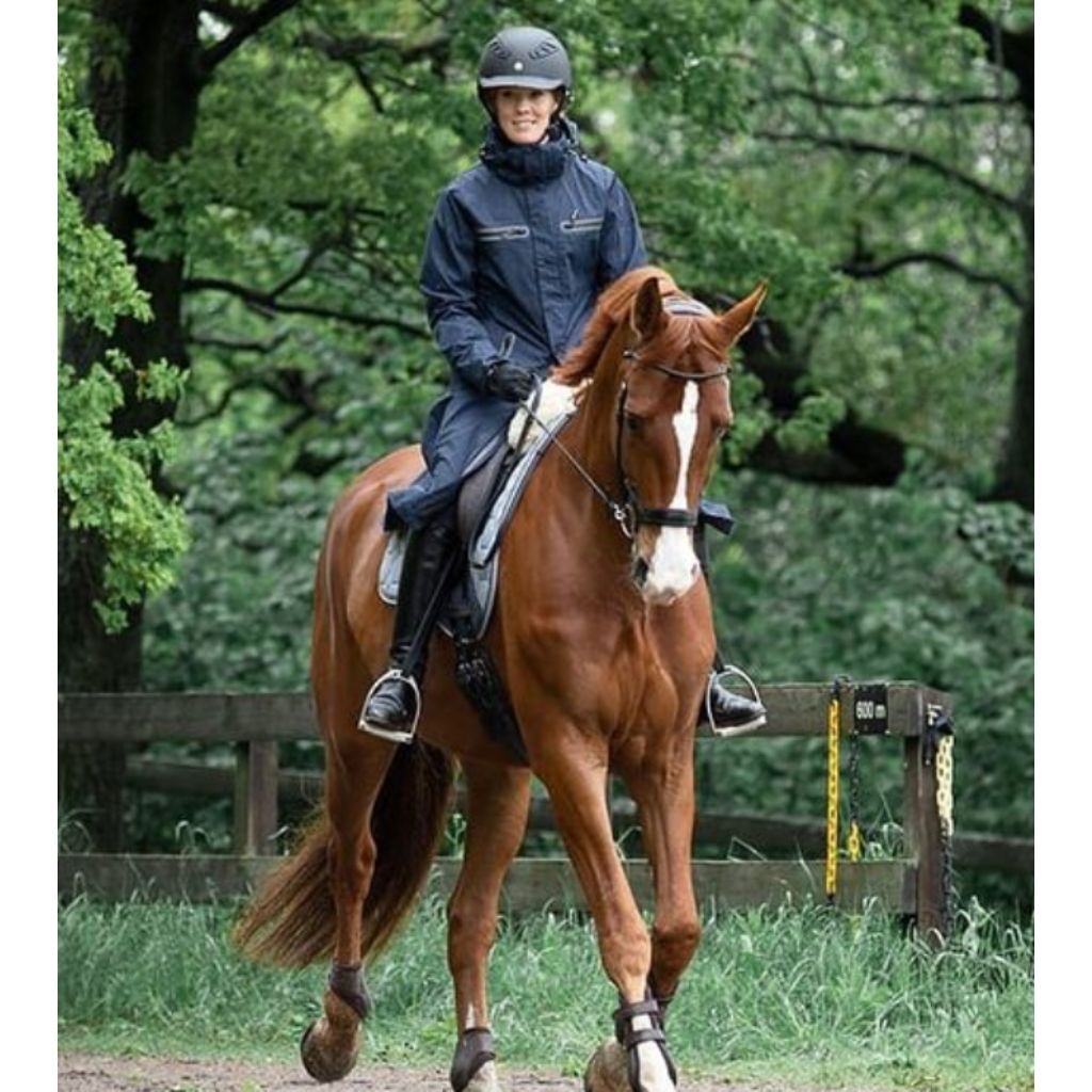 Grey on sale dressage coat