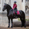 Equestrian Stockholm Long Sleeved Power Top Wild Rose