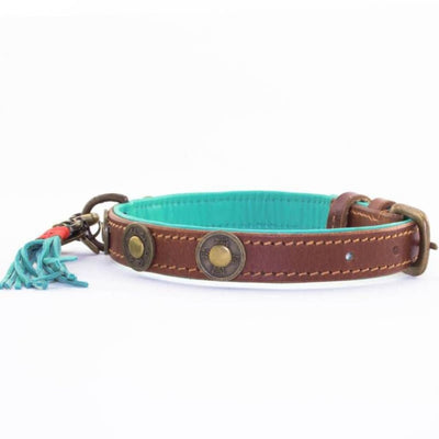 Dog with a Mission Urban Collar Brown with Turquoise