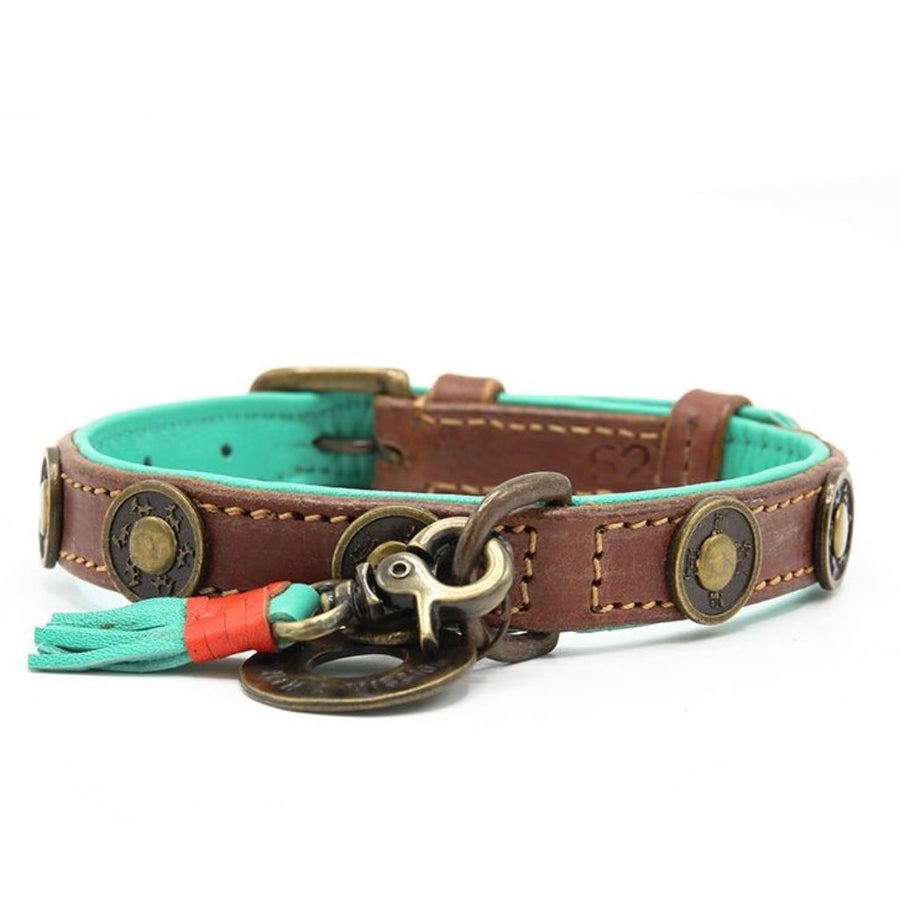Dog with a Mission Urban Collar Brown with Turquoise