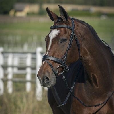 Horze Venice Snaffle Bridle with Reins